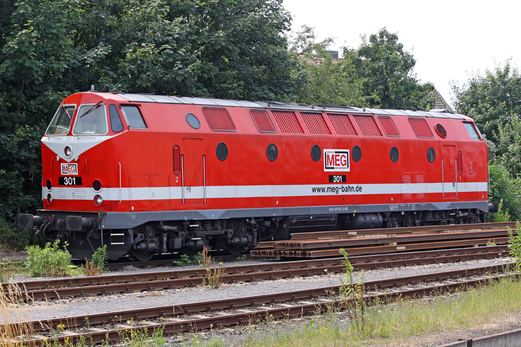 Die MEG 301 (229 120-1) in Weimar am 01,07,10