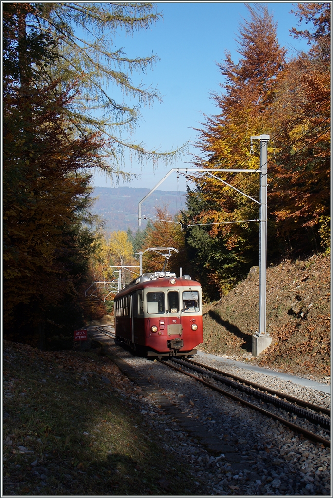 Der CEV BDeh 2/4 73 als Regionalzug 1379 im herbstlichen  Bois de Chexbres  oberhalb von Blonay. 
27. Okt. 2015