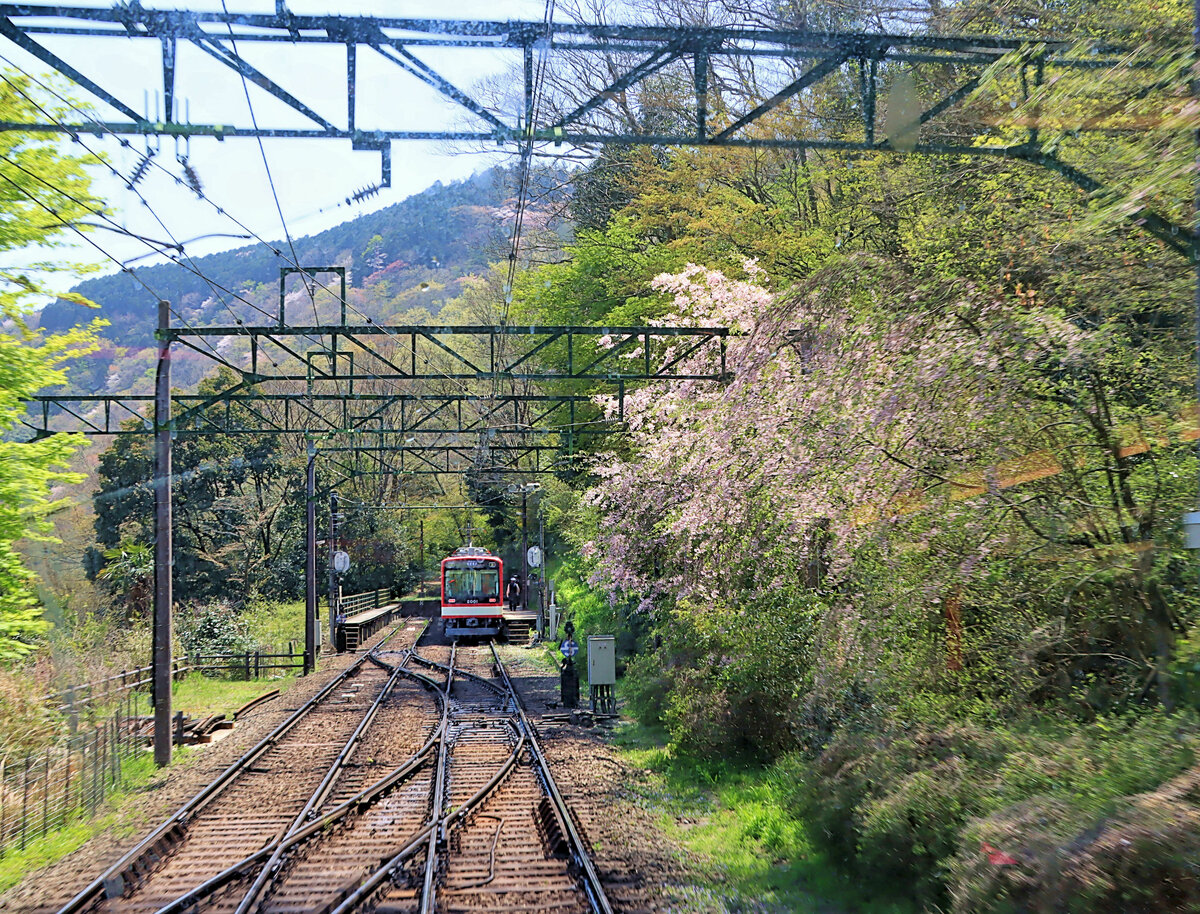 Der von oben kommende Zug erreicht die oberste Spitzkehre, wo ein Gegenzug mit Triebwagen 2001 bereits wartet. 12.April 2022   