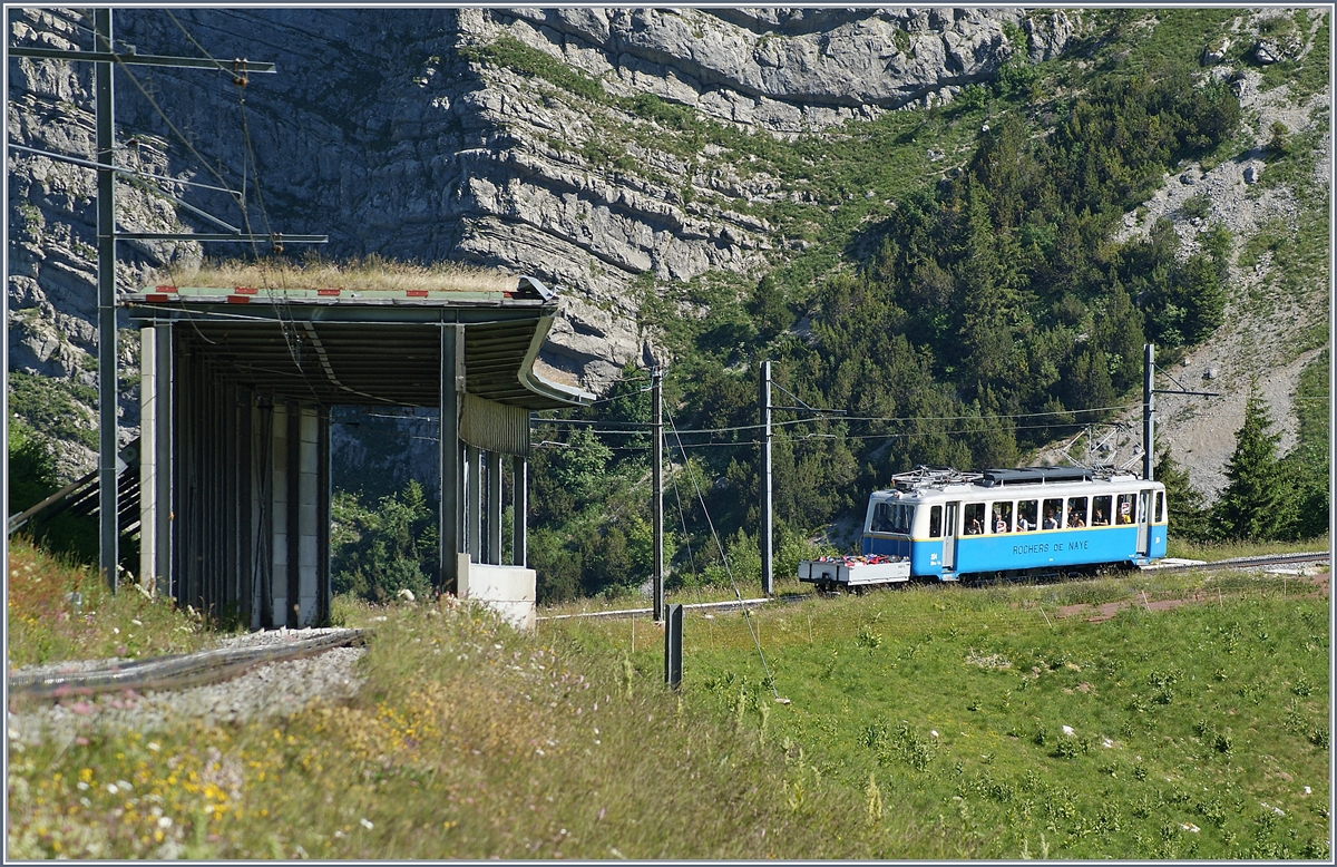 Der Rochers de Naye Bhe 2/4 204 zwischen Jaman und dem Rochers de Naye. 
1. Juli 2018