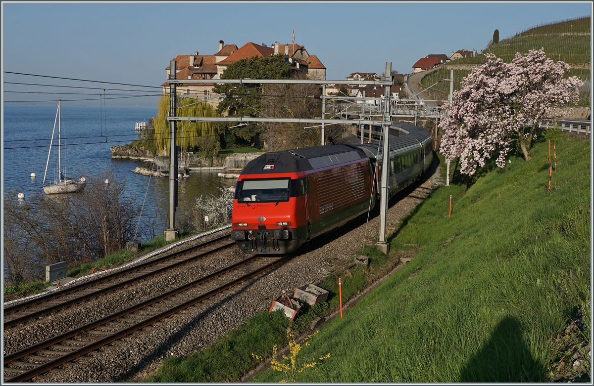 Eine SBB Re 460 im neuer Gestaltung, die wenig von er Ursprungsform abweicht: Ein silbernes SBB Signer ziert die Front, und die Loknummer ist nicht mehr an der Front angebracht. 

Das Bild zeigt die Re 460 mit einem IR bei Rivaz auf dem Weg in Richtung Brig. 

1. April 2021

