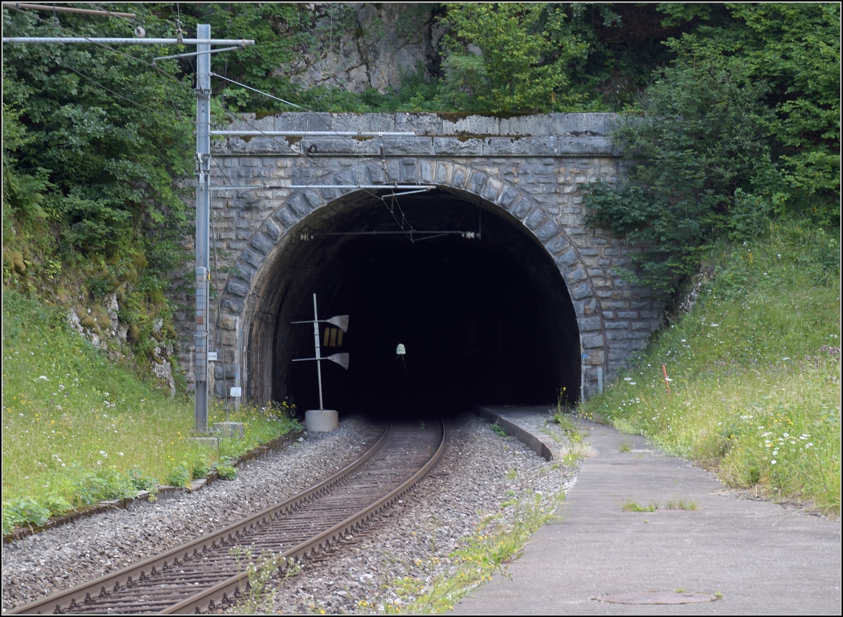 Mal eine technische Kuriosit�t statt bunter Bilder.

Die Strecke von Neuenburg nach La Chaux-de-Fonds brauchte einen langen Scheiteltunnel unter dem Col de la Vue des Alpes. Da offenbar einfacher zu realisieren, gab es in Convers einen Zwischenangriff und eine leicht verl�ngerte Strecke. Hier das Tunnelportal des Mont Sagne Tunnels, wo man bis nach La Chaux-de-Fonds durchblicken kann. Die 125 m lange Kurve zum Tunnel des vorhergehenden Bildes war urspr�nglich der Bahnhof Convers. Ich stand f�r die Fotos auf dem ehemaligen Bahnsteig, der noch teilweise vorhanden ist. Die Weichen lagen noch in den Tunneln. Les Convers, Juli 2018.

Die SBB-Webseiten kennen diesen Bahnhof immer noch, obwohl dieser l�ngst nur noch ein St�ck Streckengleis ist. Zu Schlie�f�chern und Velopl�tzen gibt es keine Angaben. http://www.sbb.ch/de/bahnhof-services/am-bahnhof/bahnhoefe/bahnhof.4238.convers.html