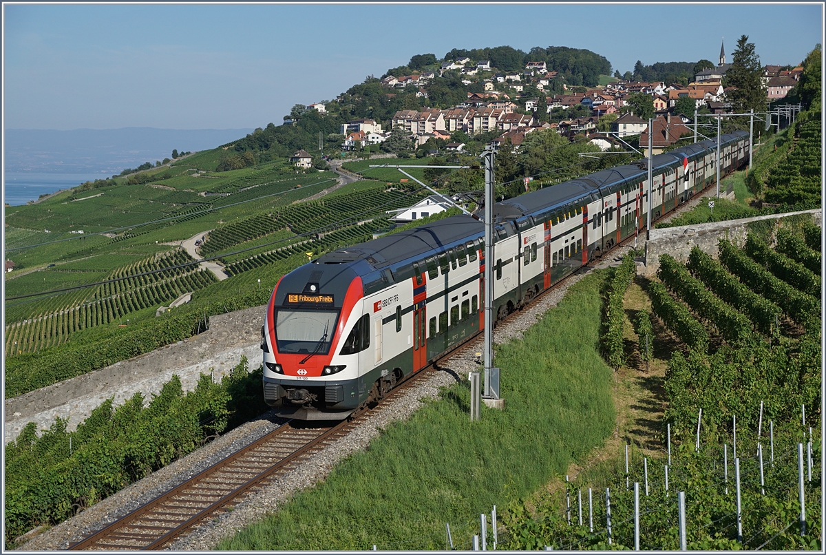 Sommerfahrplan 2018: durch die baubedingte Sperrung der Strecke Lausanne - Puidoux-Chexbres verkehren während des Sommerfahrplan die RE Genève - Vevey via Chexbres weiter bis Fribourg. die Bilder zeigen die Zusatzzüge auf der  Train de Vignes Strecke  am frühen Morgen oberhalb von Rivaz, bei Chexbres.
27. Juli 2018