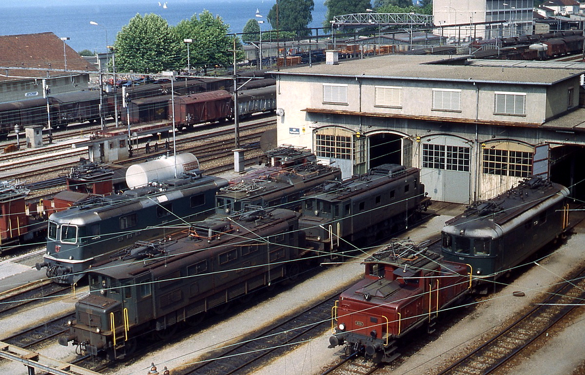 Um 1980 haben sich insgesamt sechs Lokomotiven f�nf verschiedener Baureihen sowie mehrere Rangiertraktoren vor dem Lokschuppen in Rohrschach versammelt, von links nach rechts eine Re 4/4 II, eine Ae 3/6 I, eine Ae 4/7 und eine weitere Ae 3/6 I, eine Ee 3/3 sowie eine Re 4/4 I