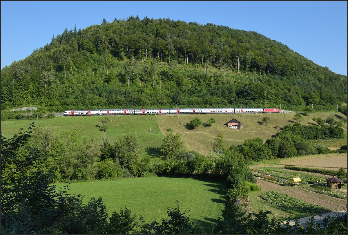 Umleiterverkehr auf dem L�ufelfingerli. Ein IC, freundlicherweise recht kurz, umf�hrt einen der typischen Tafelberge im Jura. R�mlingen, Juli 2018.