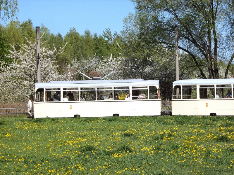 REKO-Zug in Rosenthal Nord, 19.4.2009
