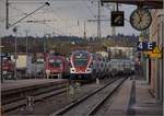 Noch ein neues Fahrzeug in Singen.