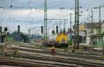 DB Netzinstandsetzung zieht um. 203 313-5, aufgenommen im Bahnhof Treuchtlingen, am 15.05.10.