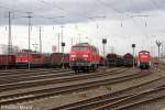 Die 155 264-5 , 225 109-8 und 294 711-7 in Koblenz L�tzel am 10,04,13