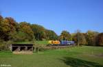 275 113-9  546  am 01.11.2015 bei Ratingen-Tiefenbroich.
