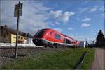 641 010 und 641 031 fahren rheinaufwärts durch Warmbach.