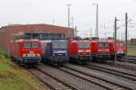 Die MEG 605 ( 143 344-0 ) , RBH 117 ( 143 554-4 ) , 143 929-8 , 112 165-6 and MEG 804 ( 156 004-4 ) beim Sommerfest im DB Museum / DB Regio Werk Halle (Saale) am 02,07,11