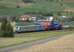 Der Railpool-Traxx 187 003 �berf�hrt die Hybridlok Ama 832 Richtung Basel. Frick, Juli 2023.
