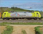 Wasch mich lautet die Aufforderung der Rheincargo 119 007.
