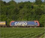 Zum Abschluss gab es an diesem Tag noch Re 482 024 der SBB Cargo Richtung Basel.