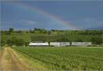 186 158 Captrain mit Regenbogen bei Buggingen. Juni 2022.