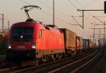1116 105 der �BB am Wenzel in Porz Wahn am 31.01.2012