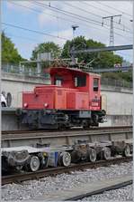 BAM MBC Rollbockimpressionen in Morges 9.