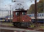 Te III 177 der SBB Historic.