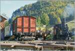 Die E 3/3 8494 wird in Le Pont für ihre Fahrt mit dem Dampfextrazug der CTVJ Compagnie du Train à Vapeur de la Vallée de Joux zurecht gemacht.