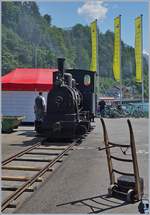 Schweizer Dampftage Brienz 2018: Von Alters her war die Magadino-Ebene eine fruchtbare Landschaft, bis 1515 ein Bergsturz die Gegend verwüstete.