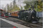 Obwohl ihre ehemaligen Einsatzgebiete quer durch die Alpen durch Meterspurgleise verbunden sind, begegneten sich die BFD HG 3/4 und die BB Ge 4/4 81 wohl nie, geschweige denn, die HG 3/4 leistet der