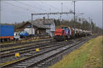 Schlechtwetter und ein Baustellendrama bei Frick. 

Am 843 093 wartet mit einigen Kesselwagen in Sisseln zwei Gegenz�ge ab. Februar 2026.