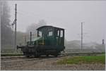 Spitzmaus in Grün und mit UIC Nummer: der CTVJ Tm I 102 (UIC 98 85 5230 320-4) steht in Le Pont.