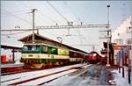 Die BT (Bodensee Toggenburg Bahn) Re 4/4 N° 96 (Re 456 096) ist mit einen Voralpenexpress (VAE) von Romanshorn nach Luzern unterwegs und konnte beim Halt in Pfäffikon SZ fotografiert werden. 
Im Hintergrund ist noch eine Ae 6/6 zu erkennnen.

Analogbild vom 27. Jan. 2000