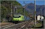 Trotzt der beiden Loks an der Spitze muss die BLS Re 465 013 den Güterterzug noch nachschieben. Das Bild entstand in Preglia. 

31. Okt. 2024 
