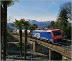 Die SBB Re 474 015 mit einem Güterzug Riczhtung Bellinzona bei Magadino.