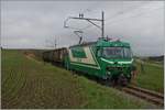 Die BAM MBC Ge 4/4 21 fährt mit ihren Eaos direkt zum Bauer, bzw.