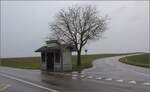 �berraschung mitten in der Landschaft.