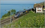Ein SBB ETR 610 noch in den  Ursprungslackierung  auf der Fahrt Richtung Venezia bei St-Saphorin.