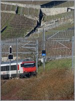 Voraussichtlich am 23.