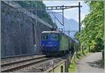 Die ehemalige SMB Re 4/4 181 ist heute als WRD Re 430 115 unterwegs; beim Château de Chillon im ungünstigen Gegenlicht auf der Fahrt in Richtung Lausanne.