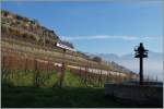 Oberhalb von St-Saphorin zeigt sich ein SBB Domino auf der Fahrt nach Puidoux-Chexbres.