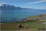 Der Travys Domino RBDe 560 384-0 im Einsatz auf der  Train des Vignes  Linie Vevey - Puidoux-Chexbres bei Chexbres als S31 12064.