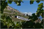 Oberhalb von St-Saphrin, inmitten der Reben f�hrt ein SBB Domino als S 31 �ber die  Train des Vignes  Strecke Richtung Vevey.