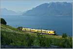 Der RBDe 560 131  Train de Vignes  ist auf seiner Strecke hoch über dem Genfersee unterwegs.