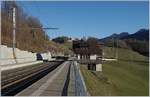Die MOB GDe 4/4 6006  Aigle les Murailles  ist mit ihrem MOB GoldenPass Panoramic bestehend aus dem Bs 222, Bs 234, Bs 233 und BDs 224 (wobei letztere entgegen der Bezeichnung über 1.Klasse Sitze