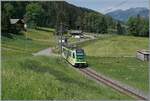 Der TPC Abe 4/8 472 ist auf der Fahrt von Aigle nach Les Diablerets und f�hrt gerade bei der Haltestelle Plan Morier durch. 

31. Mai 2026