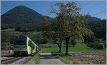 Nach einer längern, Systemumstellung bedingten (Sommer)-Pause fährt die AOMC wieder! Das Bild zeigt zwei TPC Bhe 2/6 in Villy.