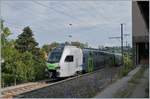 Der BLS MUTZ RABe 515 019 verlässt als S6 nach Bern den Bahnhof von Schwarzenburg.