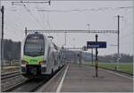 Der BLS  MUTZ  RABe 515 018 verlässt Busswil in Richtung Bern.