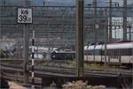 Depotfest Olten 2023. 

Der BDe 4/4 1646 wurde 1954 für die SBB gebaut. August 2023.