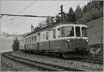 Der MOB ABDe 8/8 4001  Suisse  als Extrazug in Sendy Sollard.