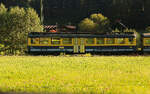 Die Triebwagen der Berner Oberland Bahn BOB ABeh4/4 I 304-310: Triebwagen 306 in goldenen Septemberfarben im letzten Abendlicht bei Burglauenen. 7.September 2016 