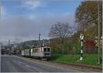 La DER de la Saison 2024!  Mon dernier Train - Mein letzter Zug .